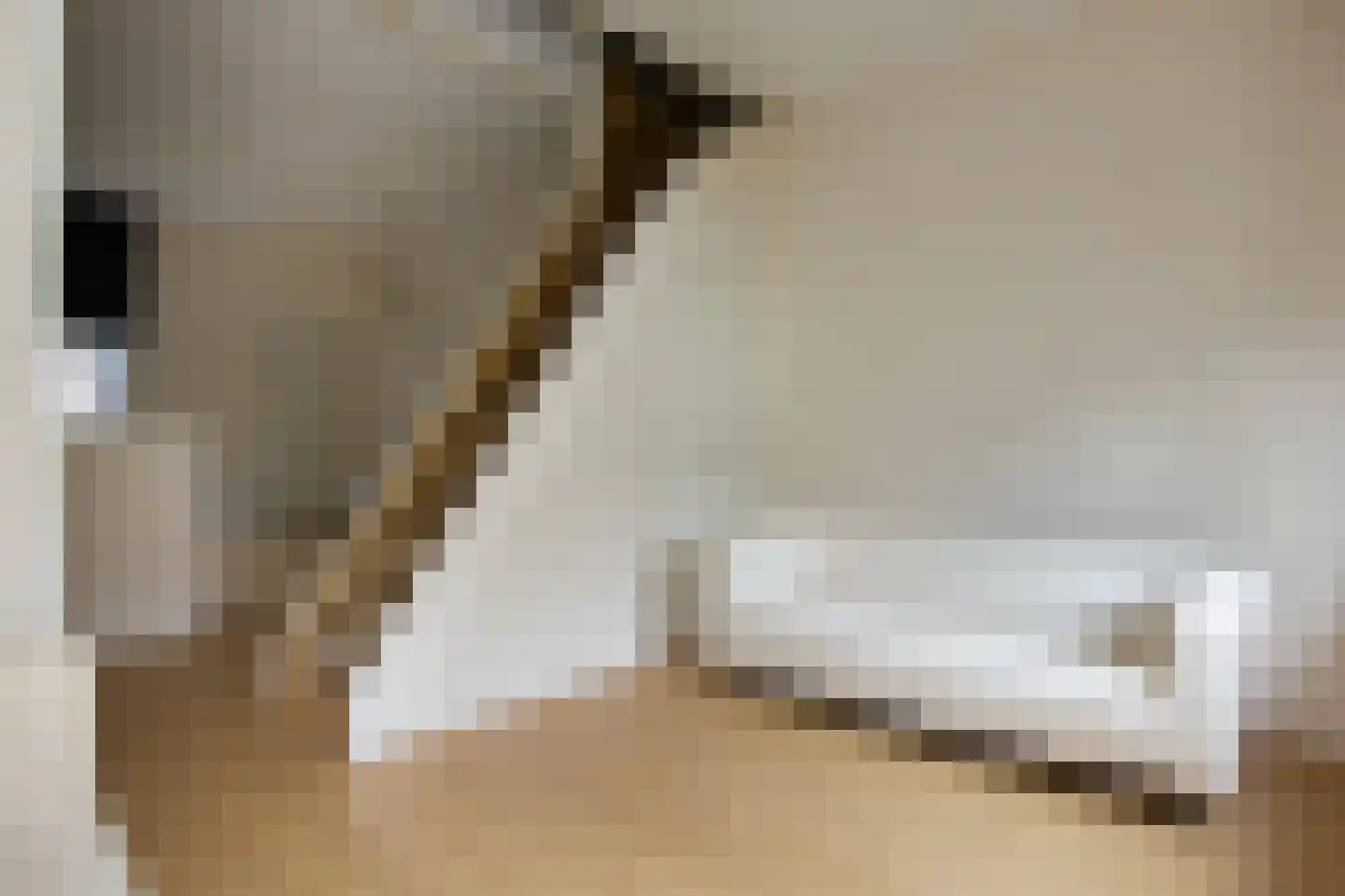 Korte Poellaan 6 Haarlem thumbnail 7