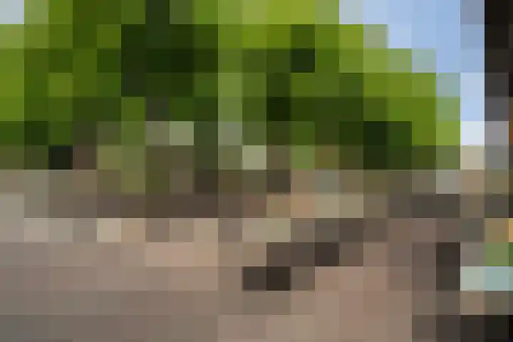 Korte Poten 42 B Den Haag thumbnail 15