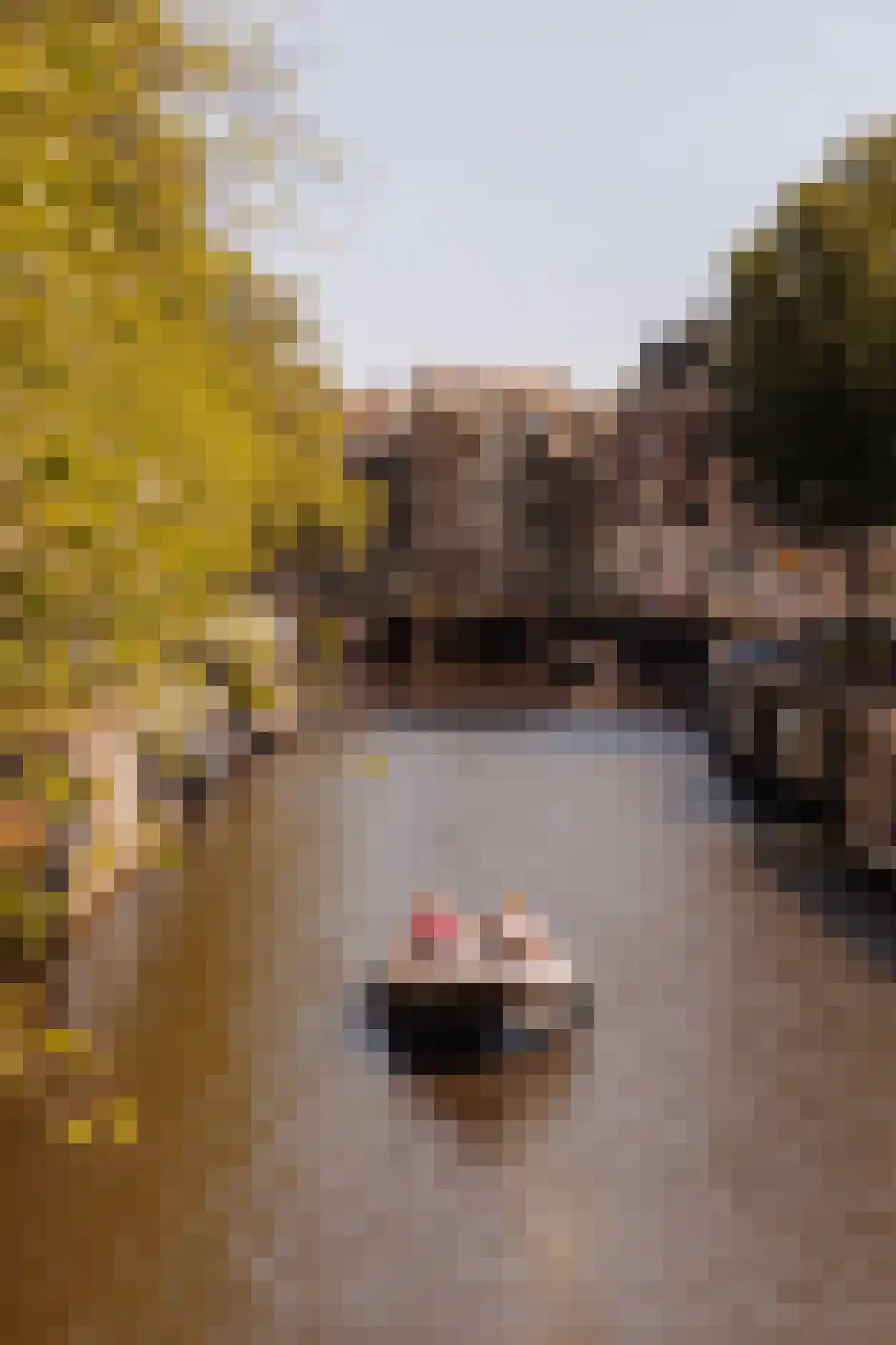 Korte Prinsengracht 44 A Amsterdam thumbnail 42