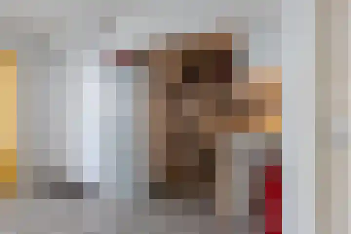 Korte Raam 2 a Gouda thumbnail 15