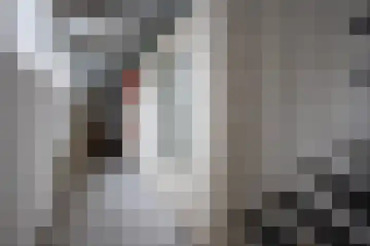 Korte Raam 2 a Gouda thumbnail 23