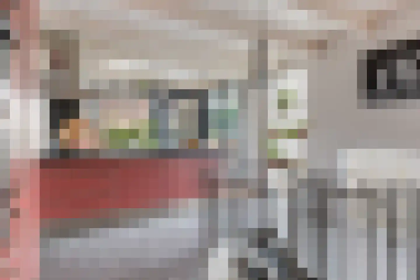 Korte Raam 2 a Gouda thumbnail 32