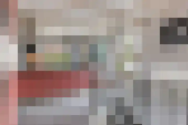Korte Raam 2 a Gouda thumbnail 32