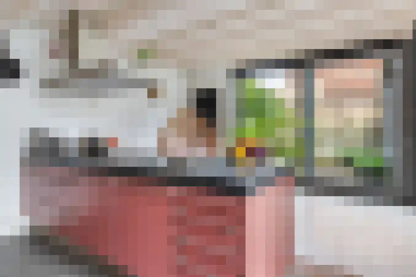 Korte Raam 2 a Gouda thumbnail 34