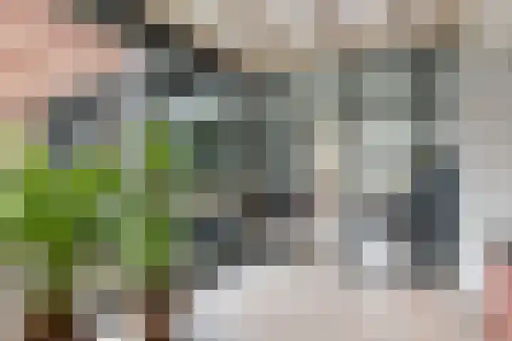 Korte Raam 2 a Gouda thumbnail 39