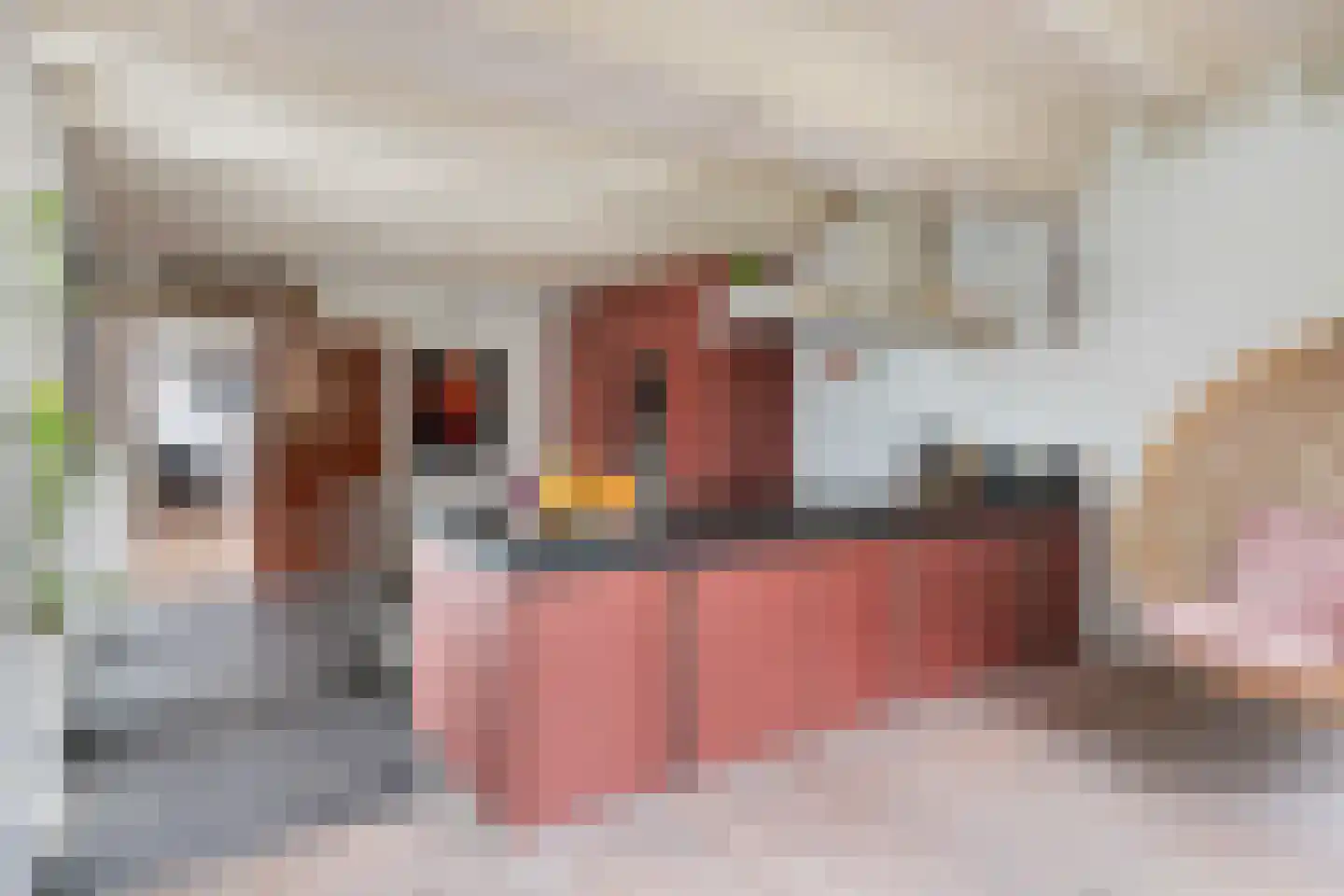 Korte Raam 2 a Gouda thumbnail 50