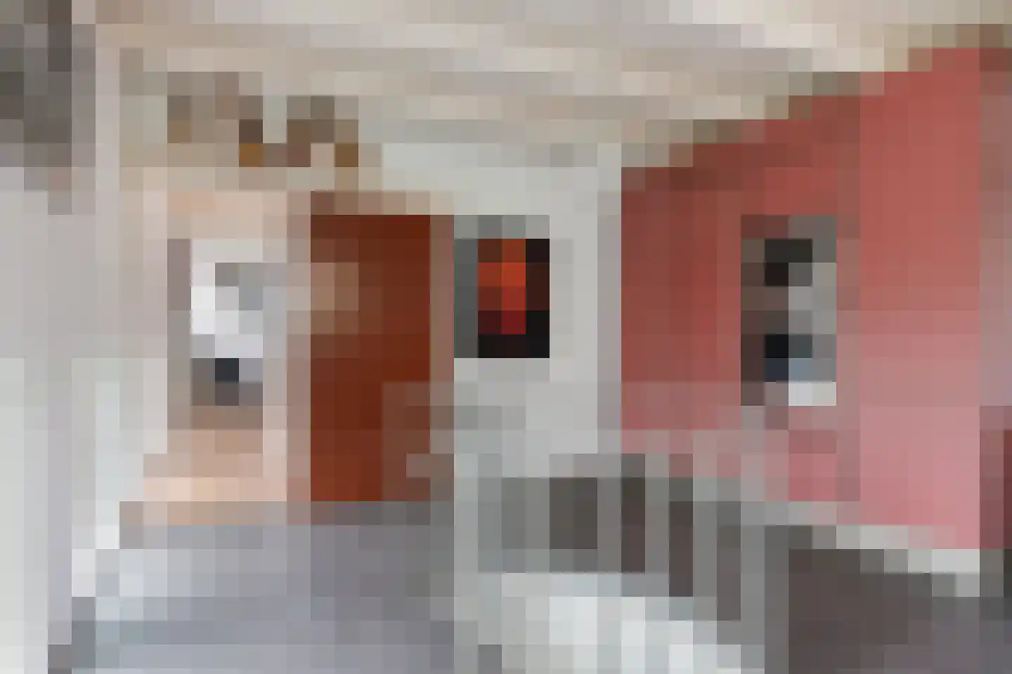 Korte Raam 2 a Gouda thumbnail 51