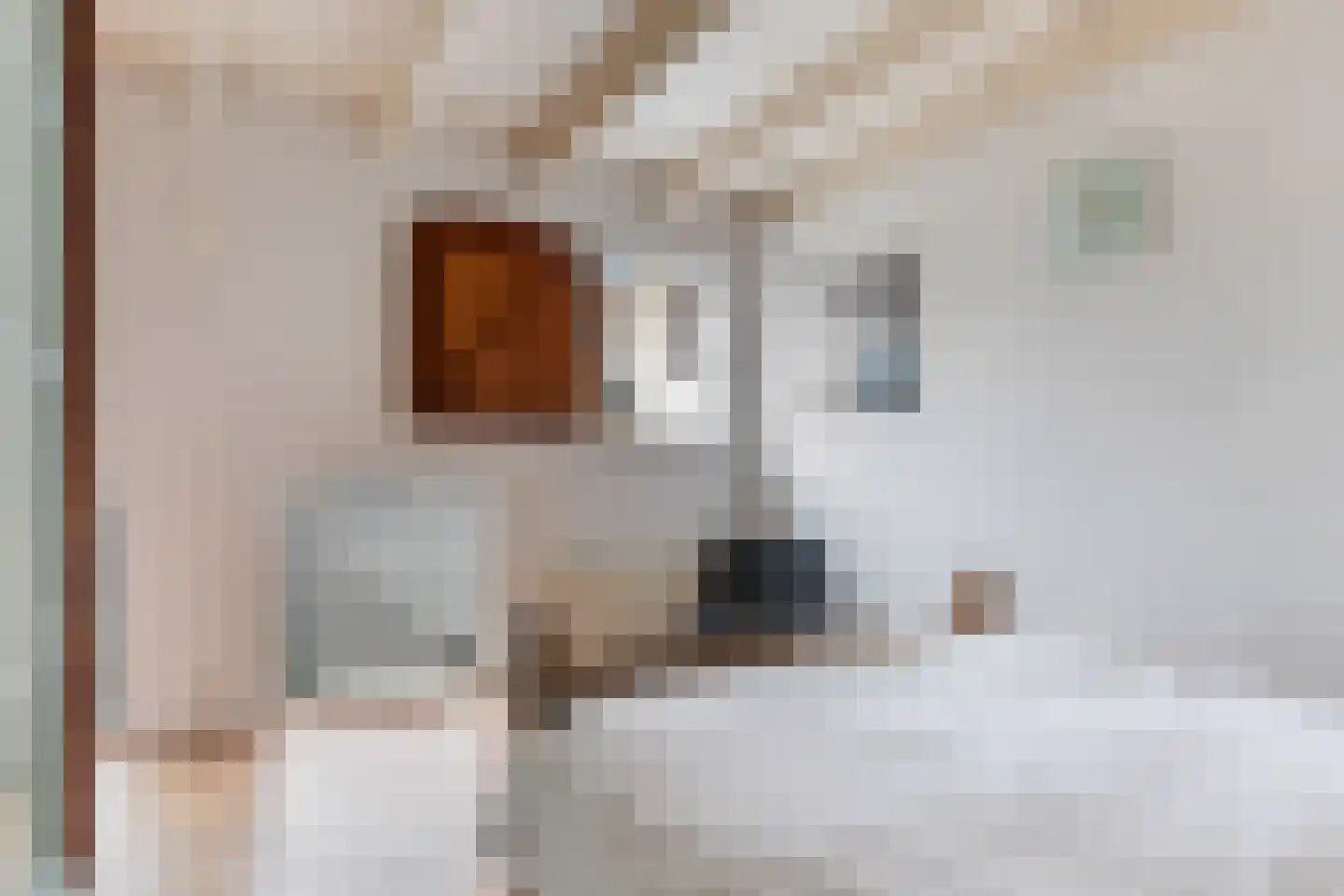 Korte Raam 2 a Gouda thumbnail 55