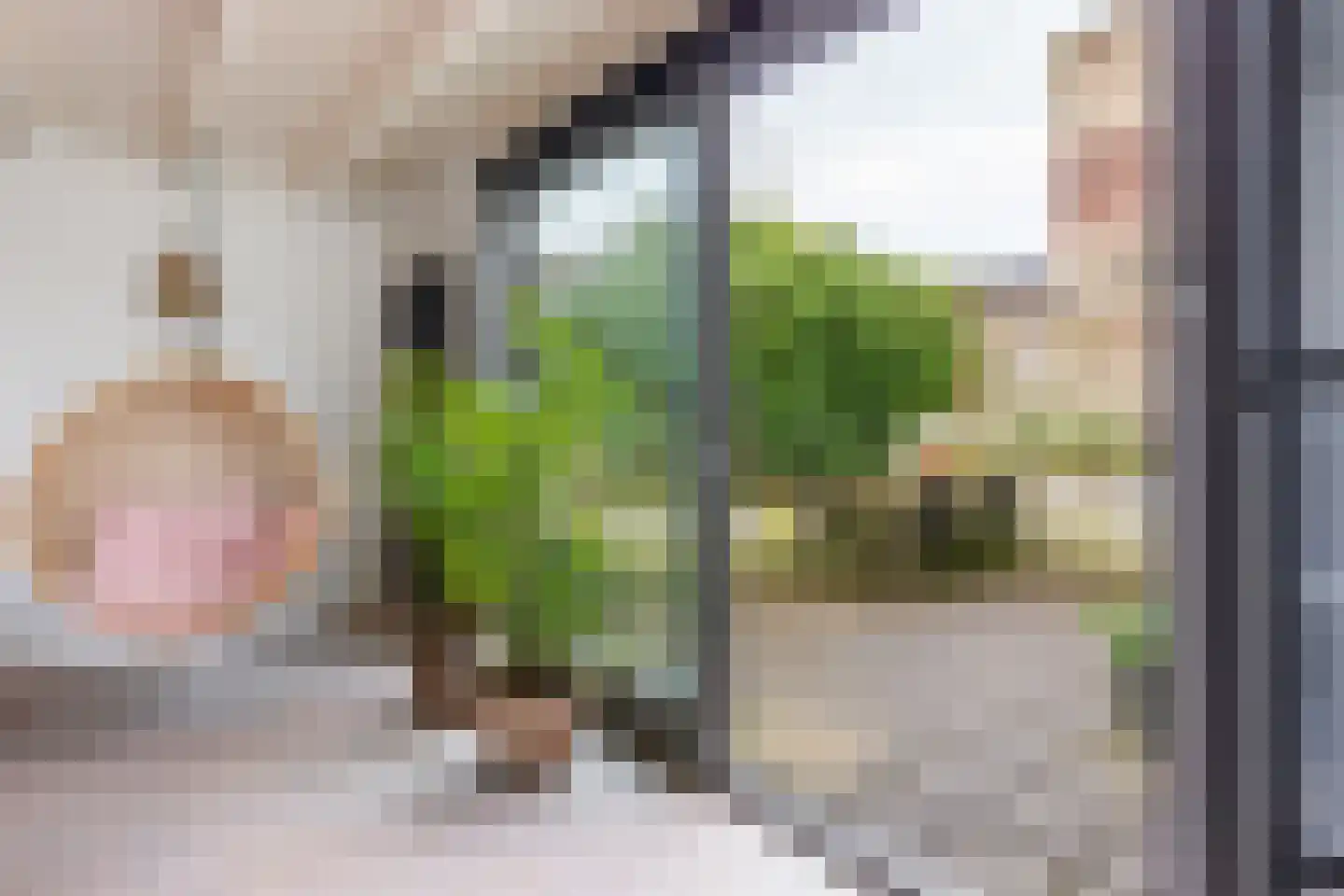 Korte Raam 2 a Gouda thumbnail 61
