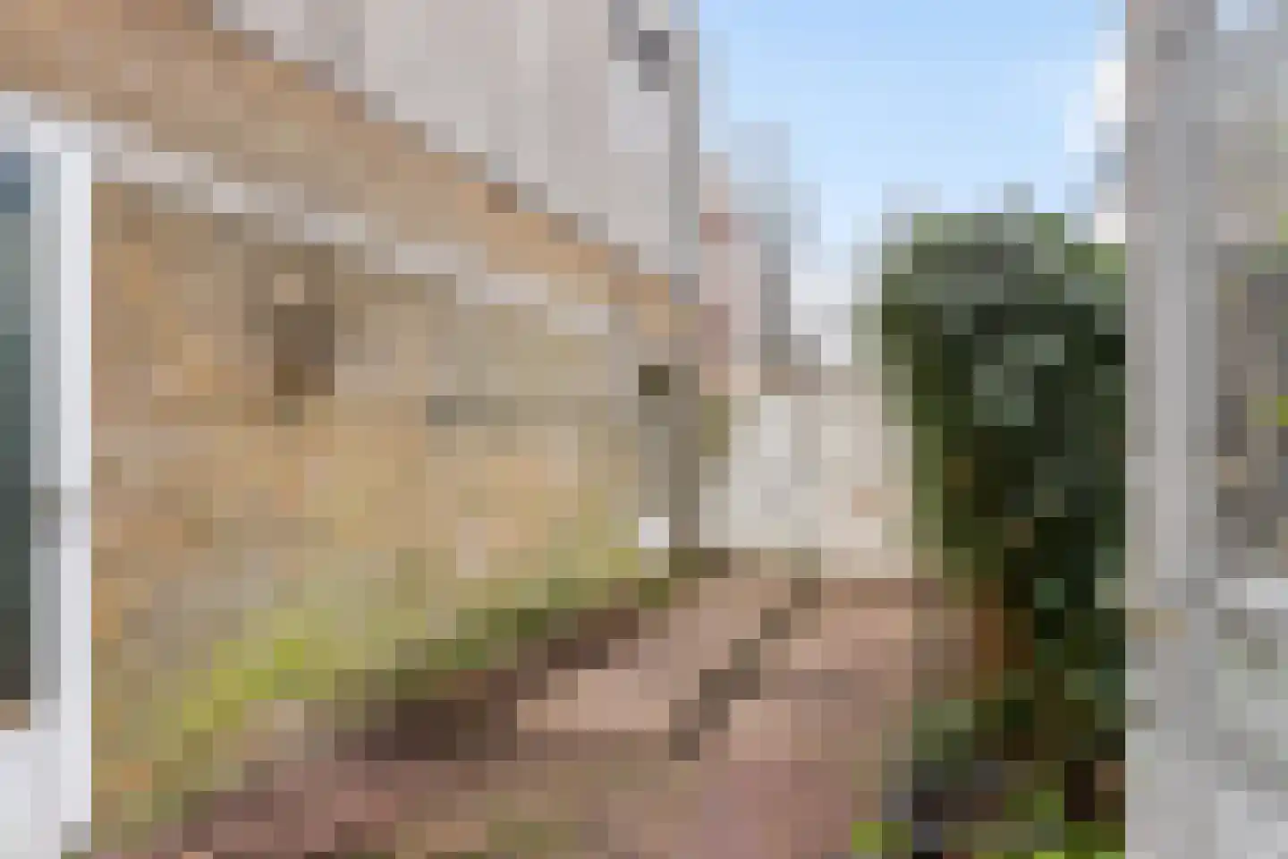 Korte Raam 2 a Gouda thumbnail 66