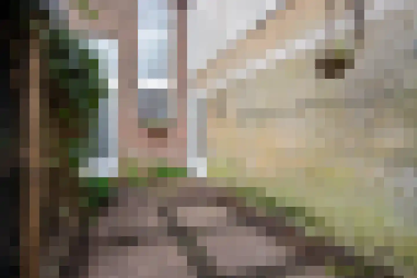 Korte Raam 2 a Gouda thumbnail 68