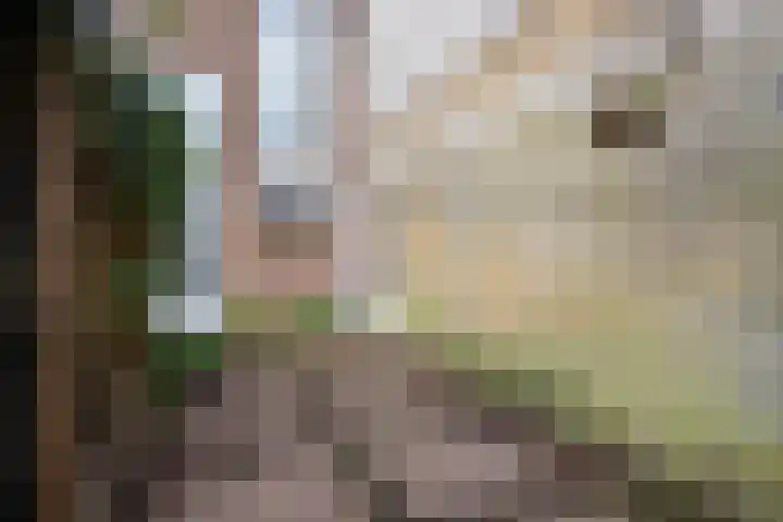 Korte Raam 2 a Gouda thumbnail 68