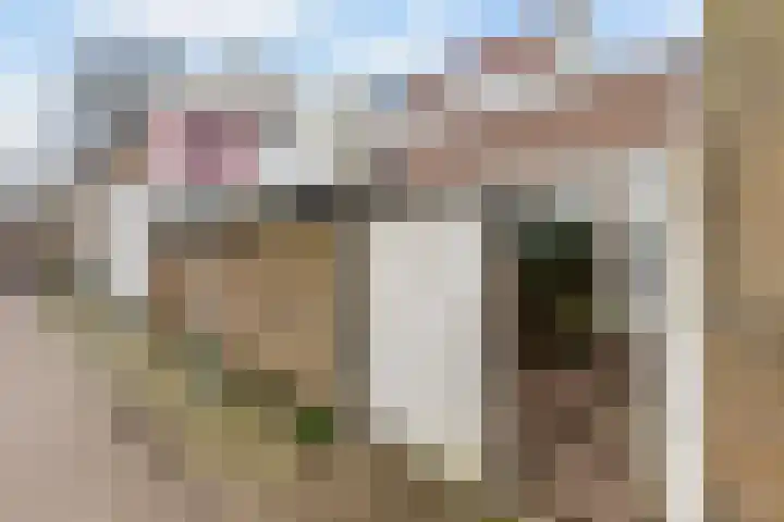 Korte Raam 2 a Gouda thumbnail 70