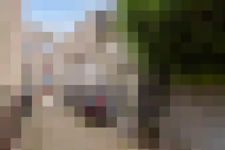 Korte Raam 2 a Gouda thumbnail 73