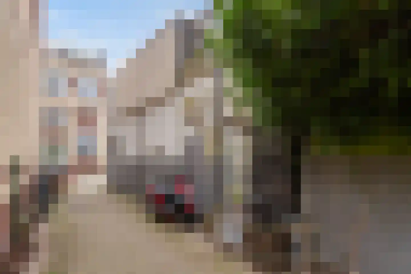 Korte Raam 2 a Gouda thumbnail 73
