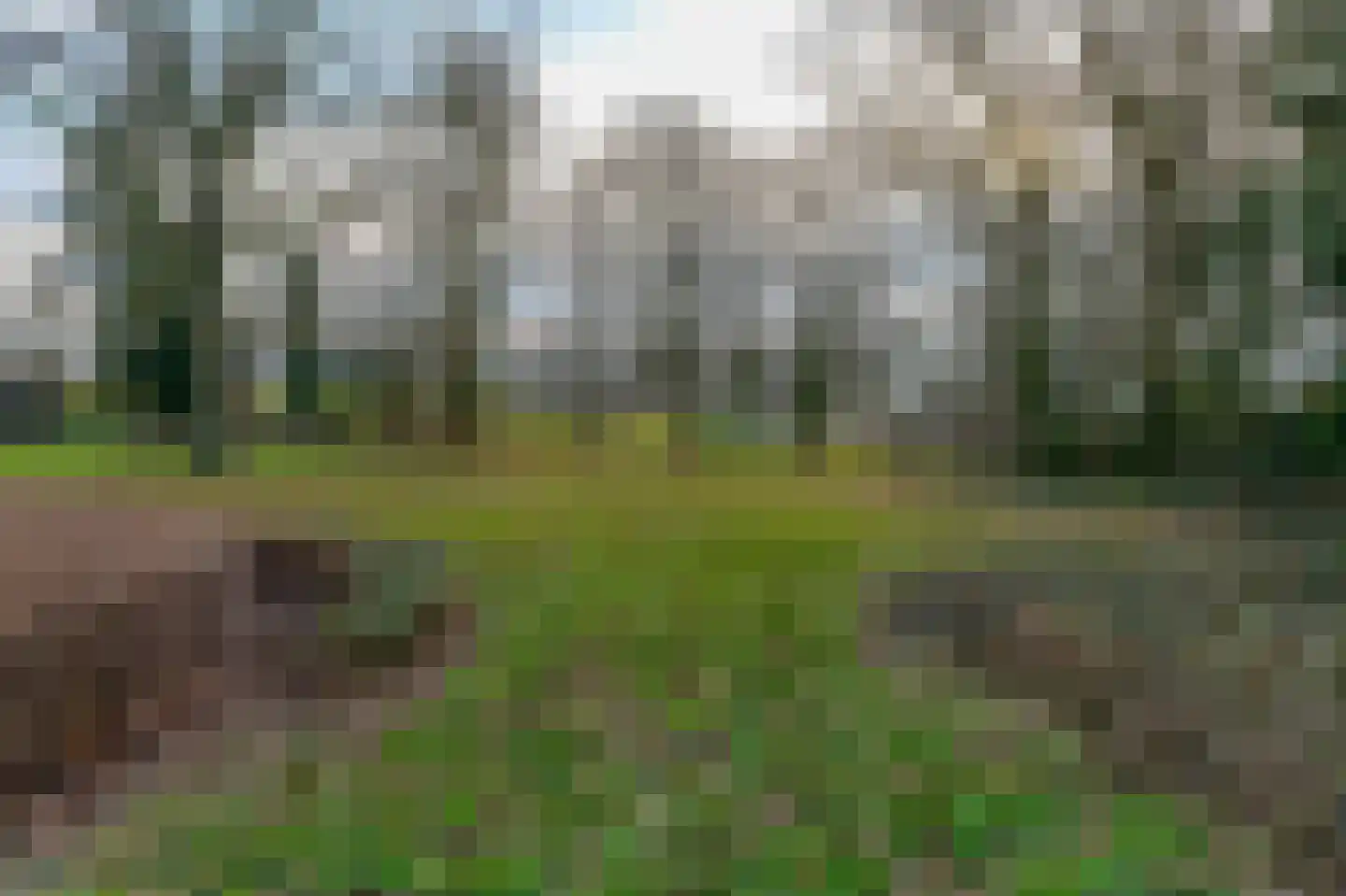 Korte Raarberg 54 Meerssen thumbnail 34