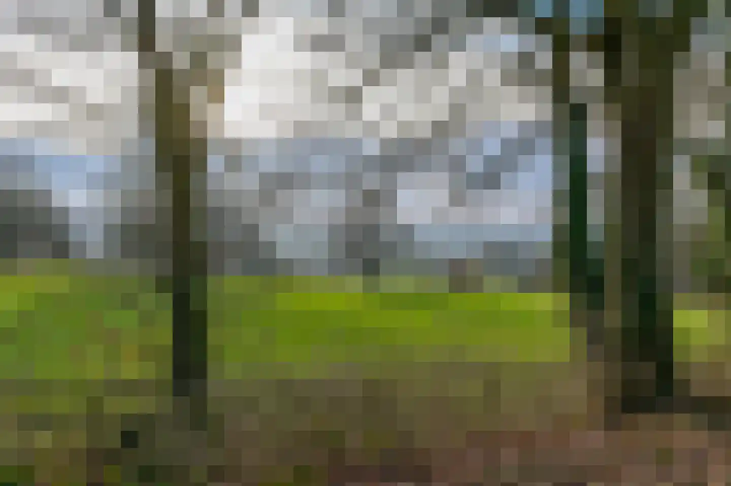 Korte Raarberg 54 Meerssen thumbnail 37