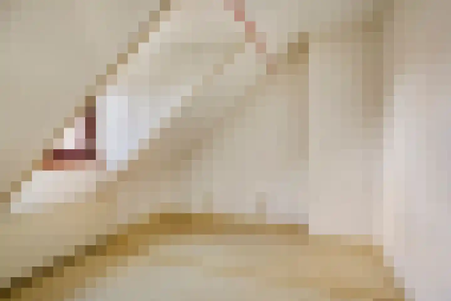 Korte Raarberg 6 Meerssen thumbnail 14