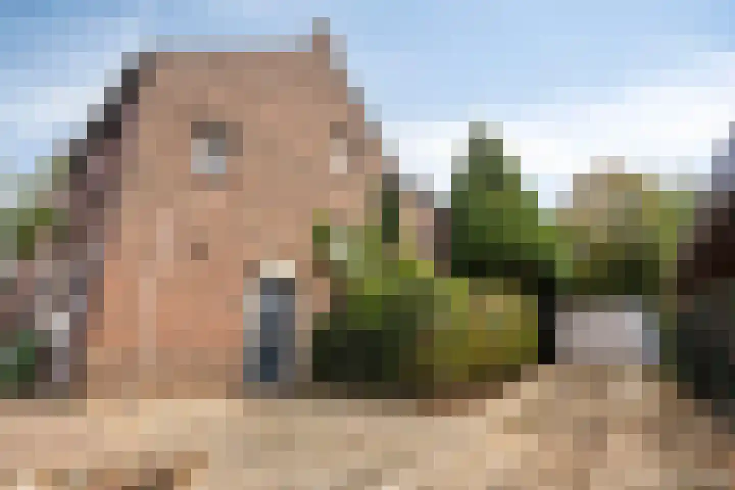 Korte Raarberg 6 Meerssen thumbnail 17