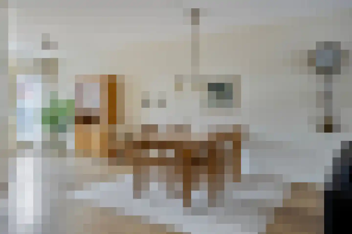 Korte Rapenburgsestraat 3 n Lichtenvoorde thumbnail 10