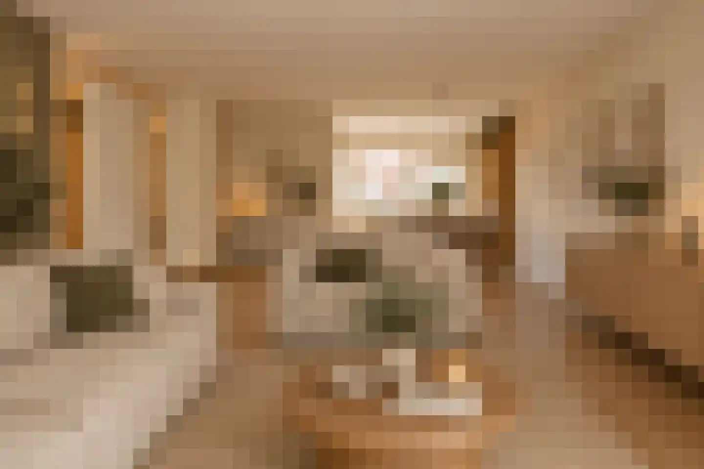 Korte Rapenburgsestraat 3 n Lichtenvoorde thumbnail 11
