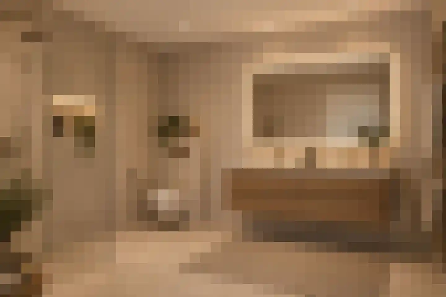 Korte Rapenburgsestraat 3 n Lichtenvoorde thumbnail 25