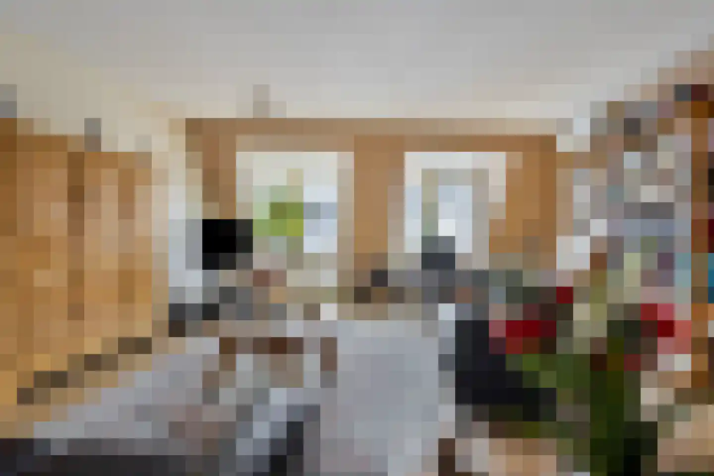 Korte Rapenburgsestraat 3 n Lichtenvoorde thumbnail 5