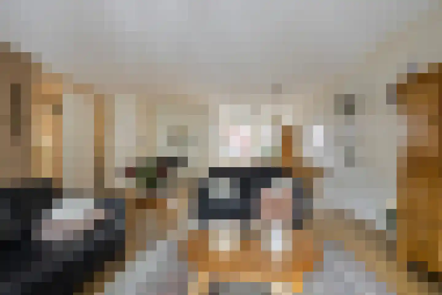 Korte Rapenburgsestraat 3 n Lichtenvoorde thumbnail 9