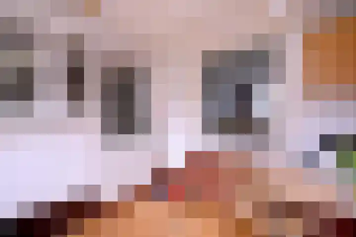 Korte Rij 3 Deventer thumbnail 14