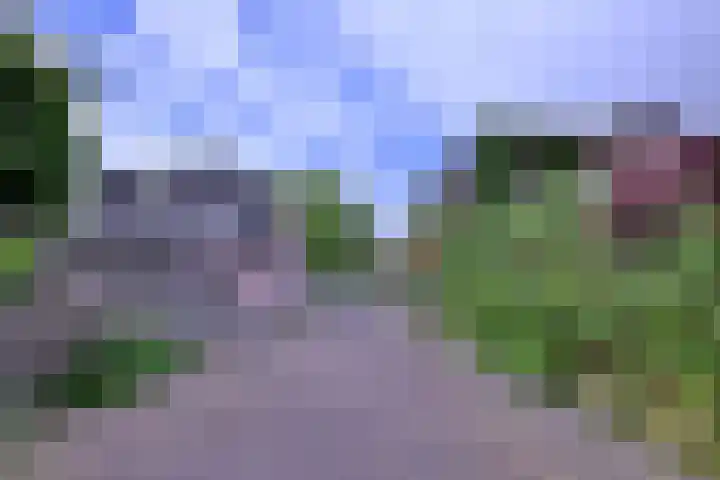 Korte Rij 3 Deventer thumbnail 25