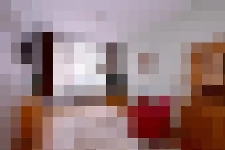 Korte Rij 3 Deventer thumbnail 8