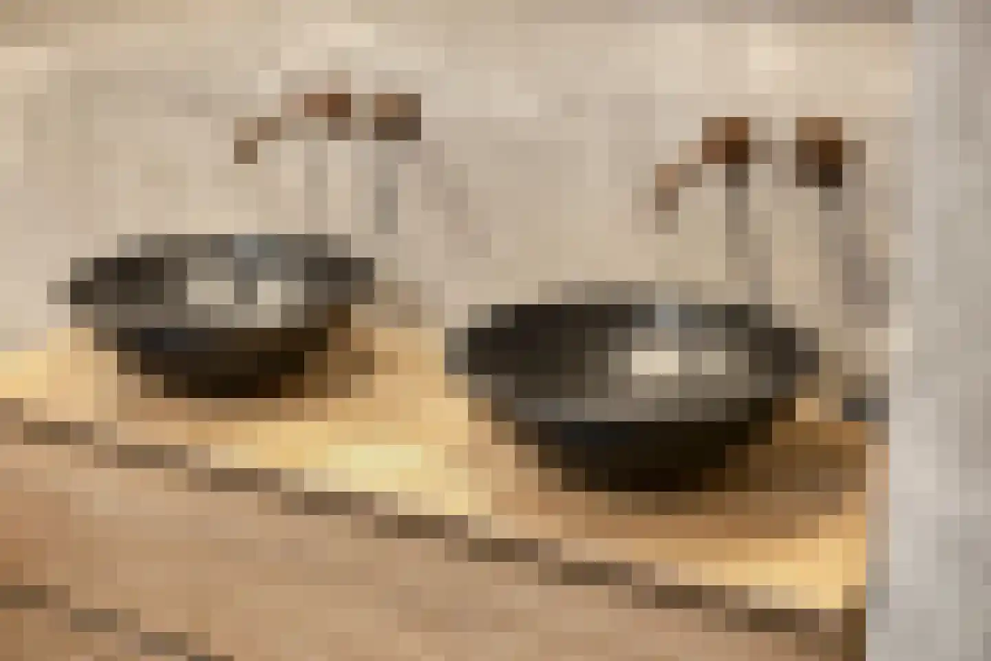 Korte Ring 19 a Bruinisse thumbnail 41