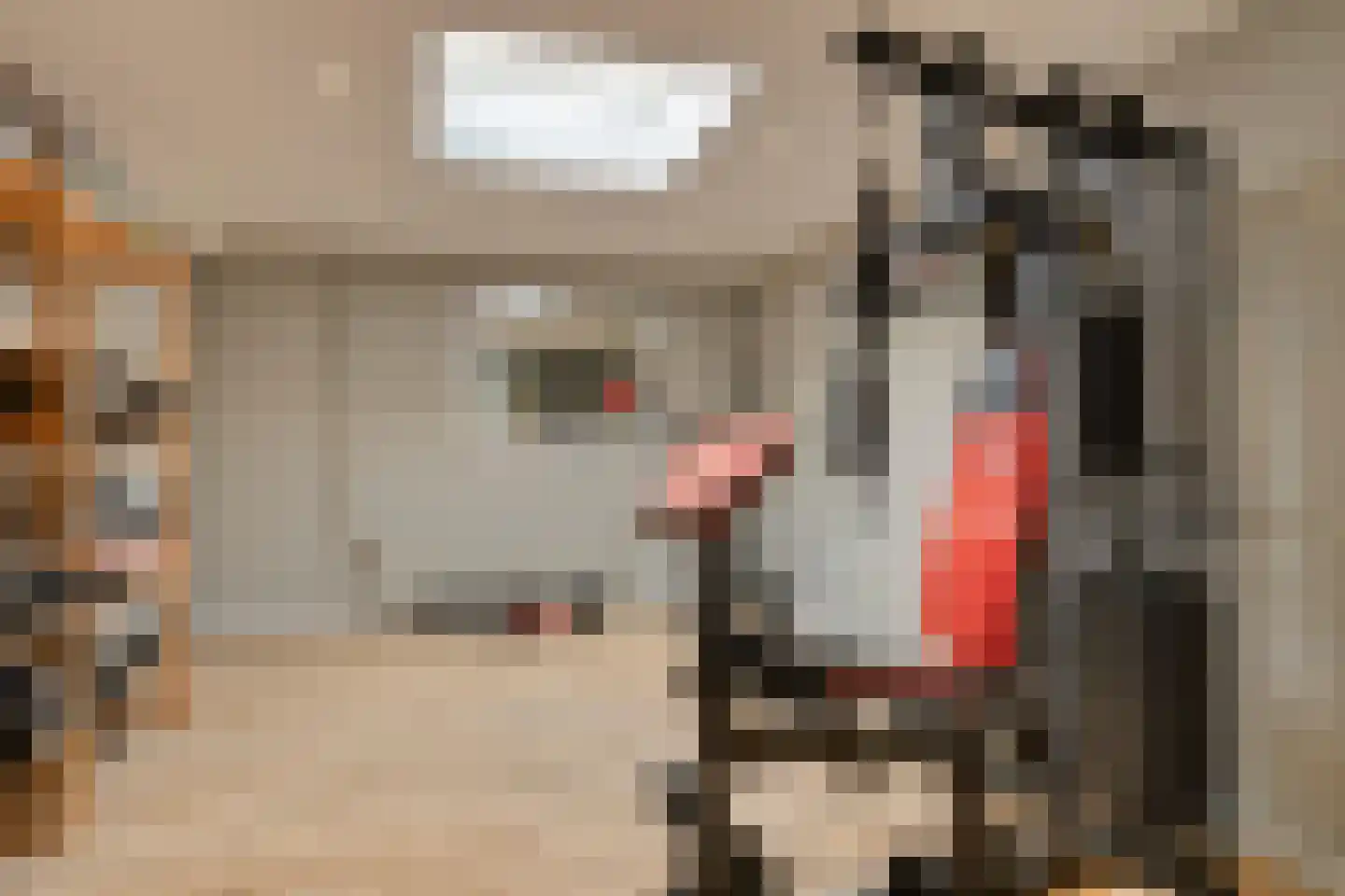 Korte Ring 19 a Bruinisse thumbnail 50