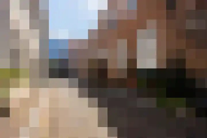 Korte Rogstraat 3 Grave