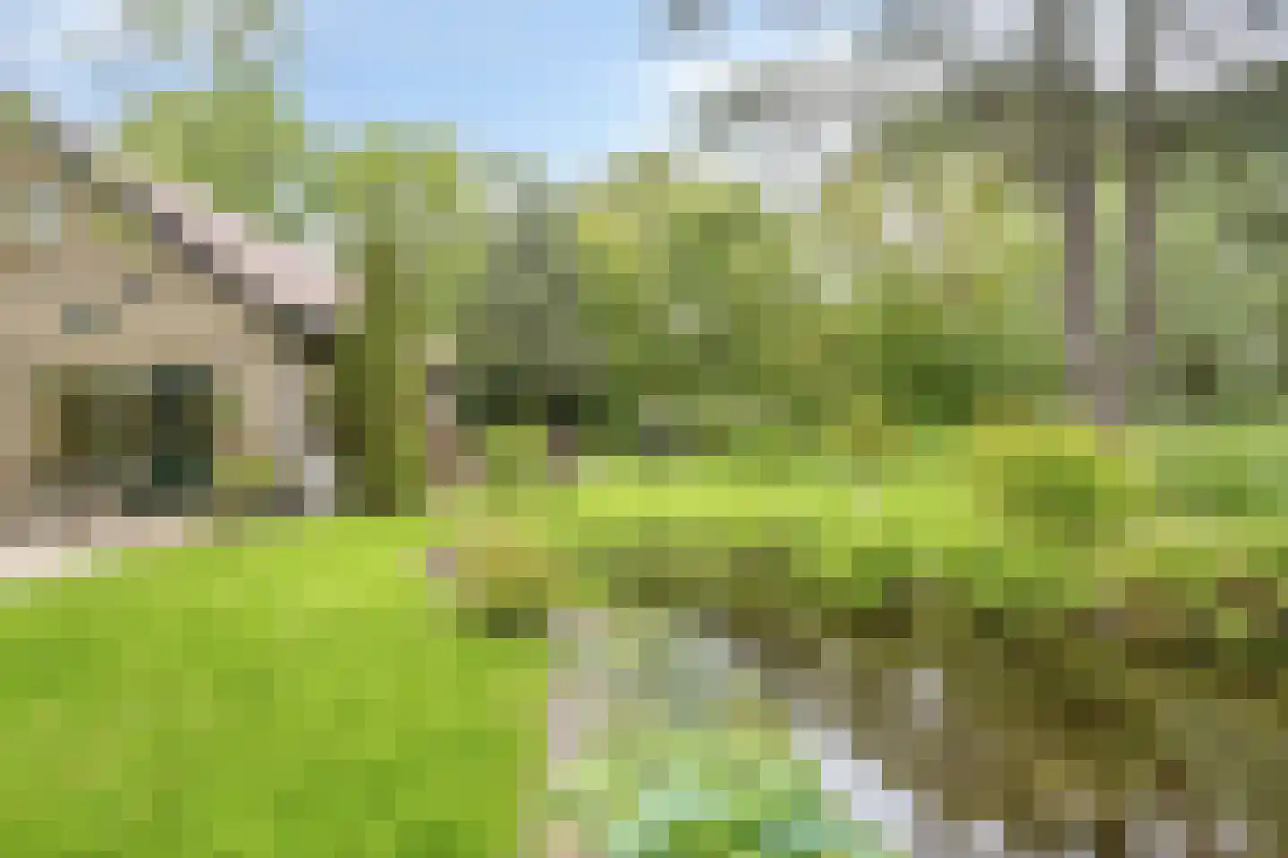 Korte Ruigeweg 3 Schagerbrug thumbnail 26
