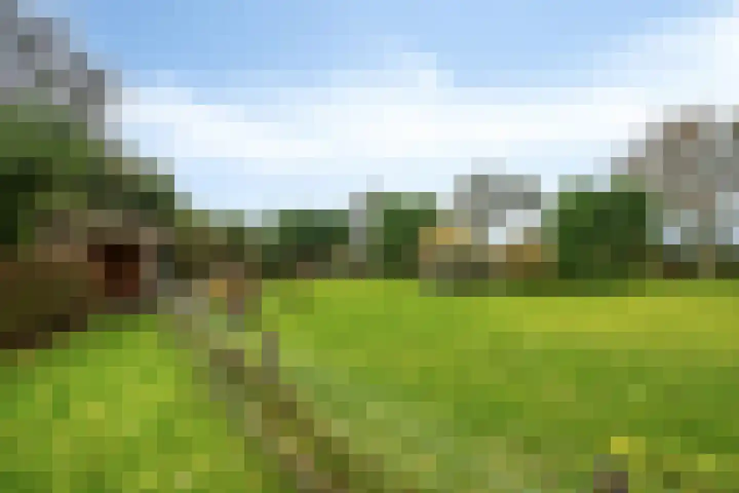 Korte Ruigeweg 3 Schagerbrug thumbnail 30
