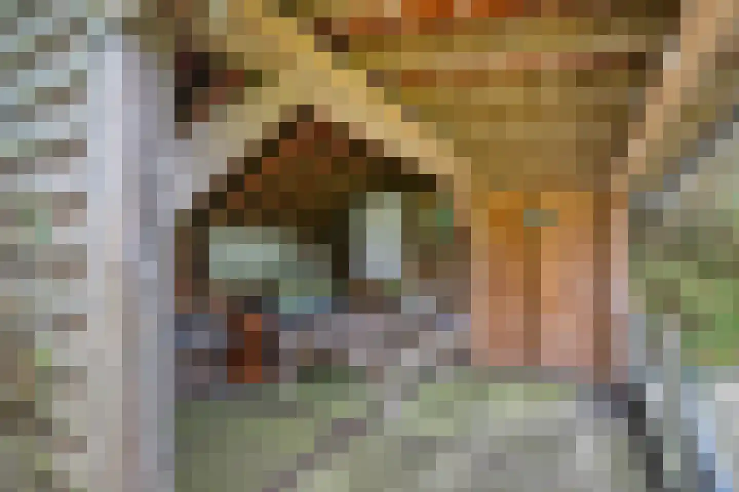 Korte Ruigeweg 3 Schagerbrug thumbnail 31