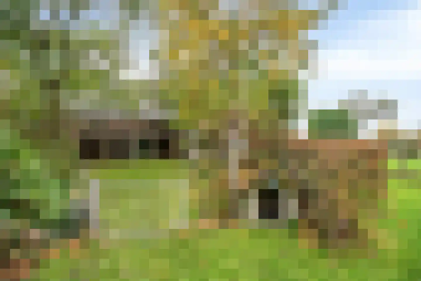 Korte Ruigeweg 3 Schagerbrug thumbnail 33