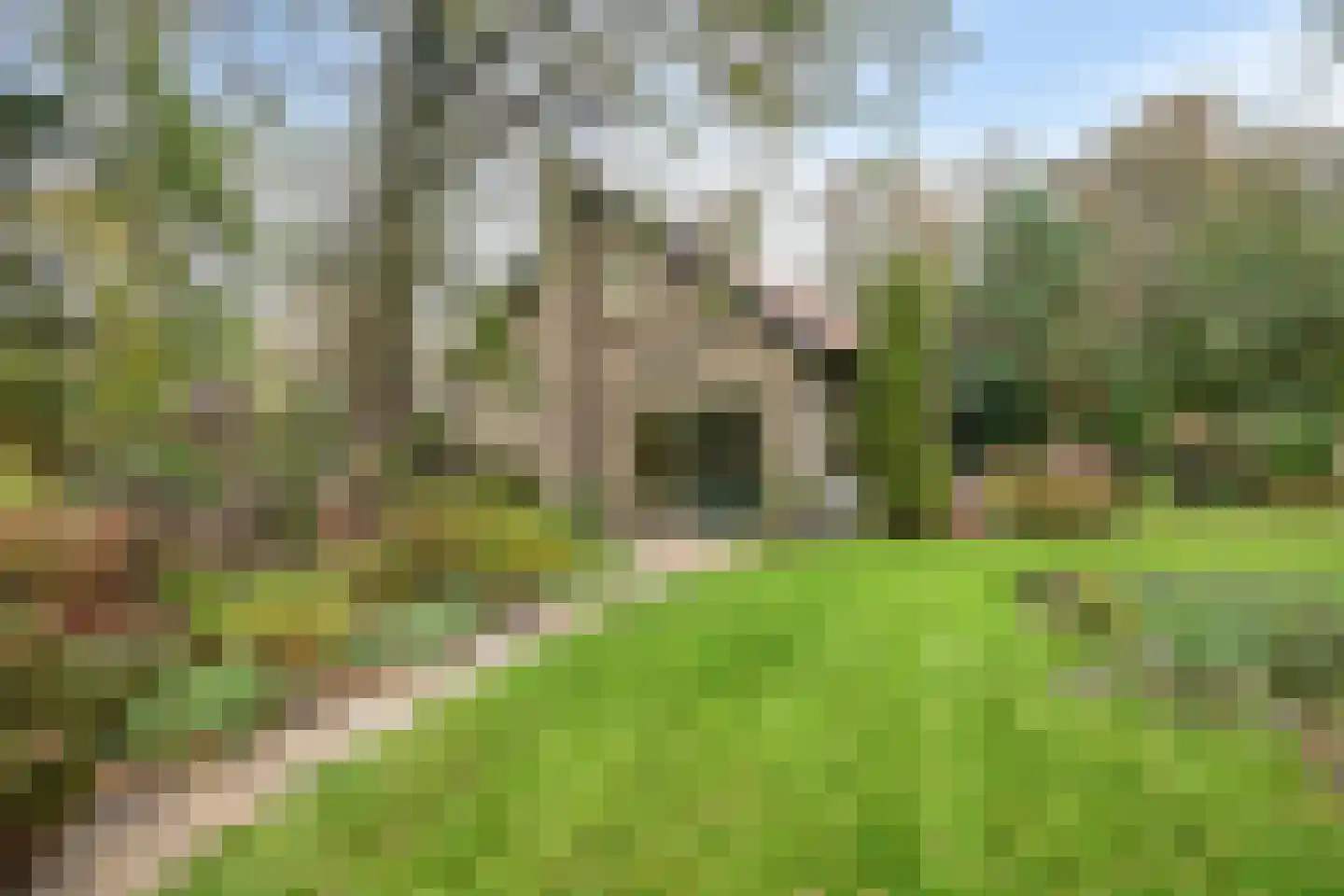 Korte Ruigeweg 3 Schagerbrug thumbnail 34