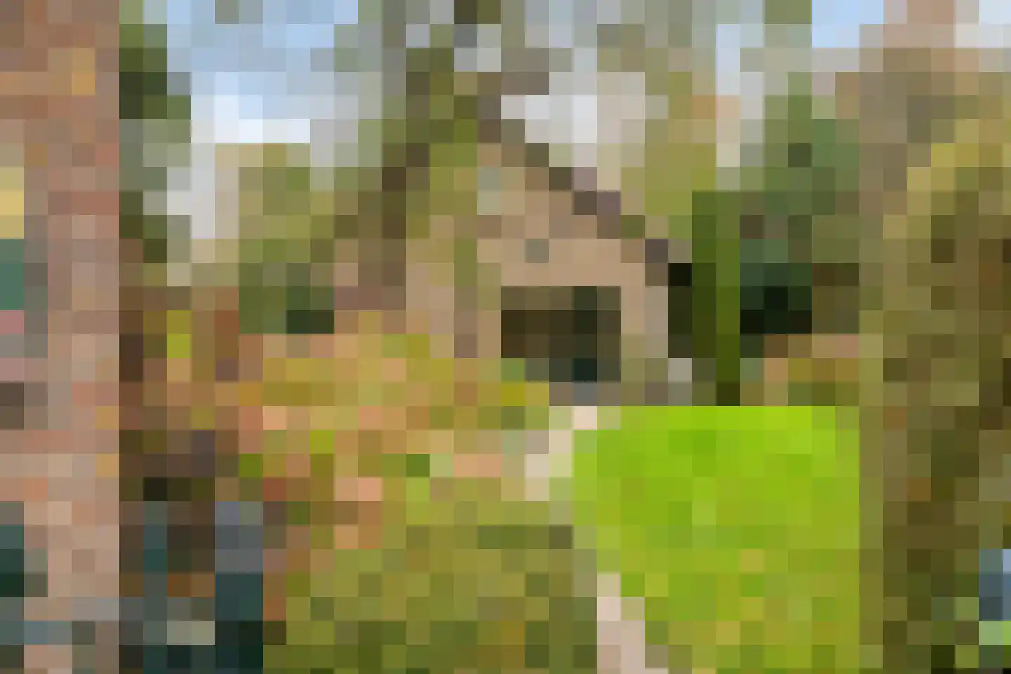Korte Ruigeweg 3 Schagerbrug thumbnail 4