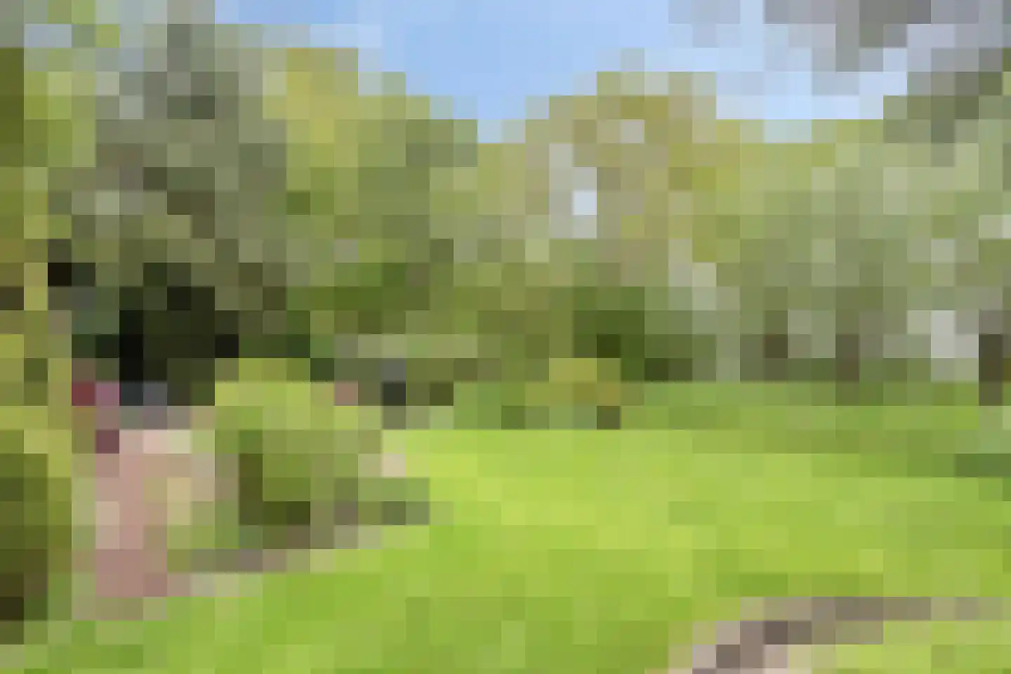 Korte Ruigeweg 3 Schagerbrug thumbnail 48