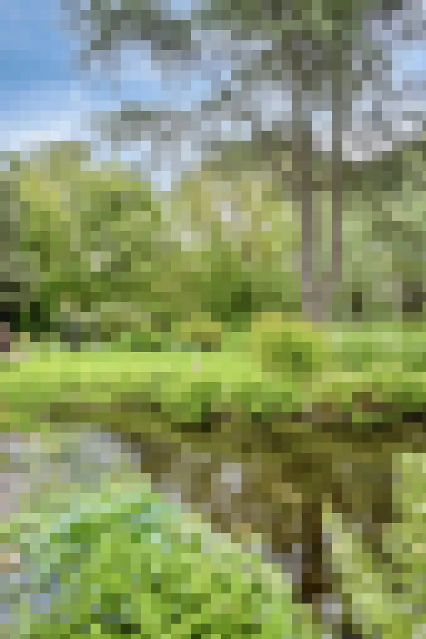 Korte Ruigeweg 3 Schagerbrug thumbnail 50