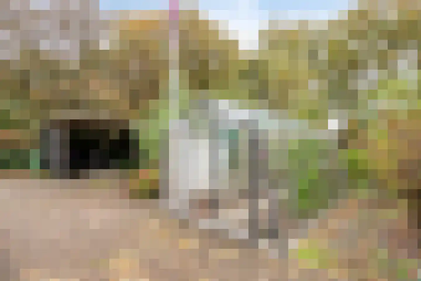 Korte Ruigeweg 3 Schagerbrug thumbnail 50