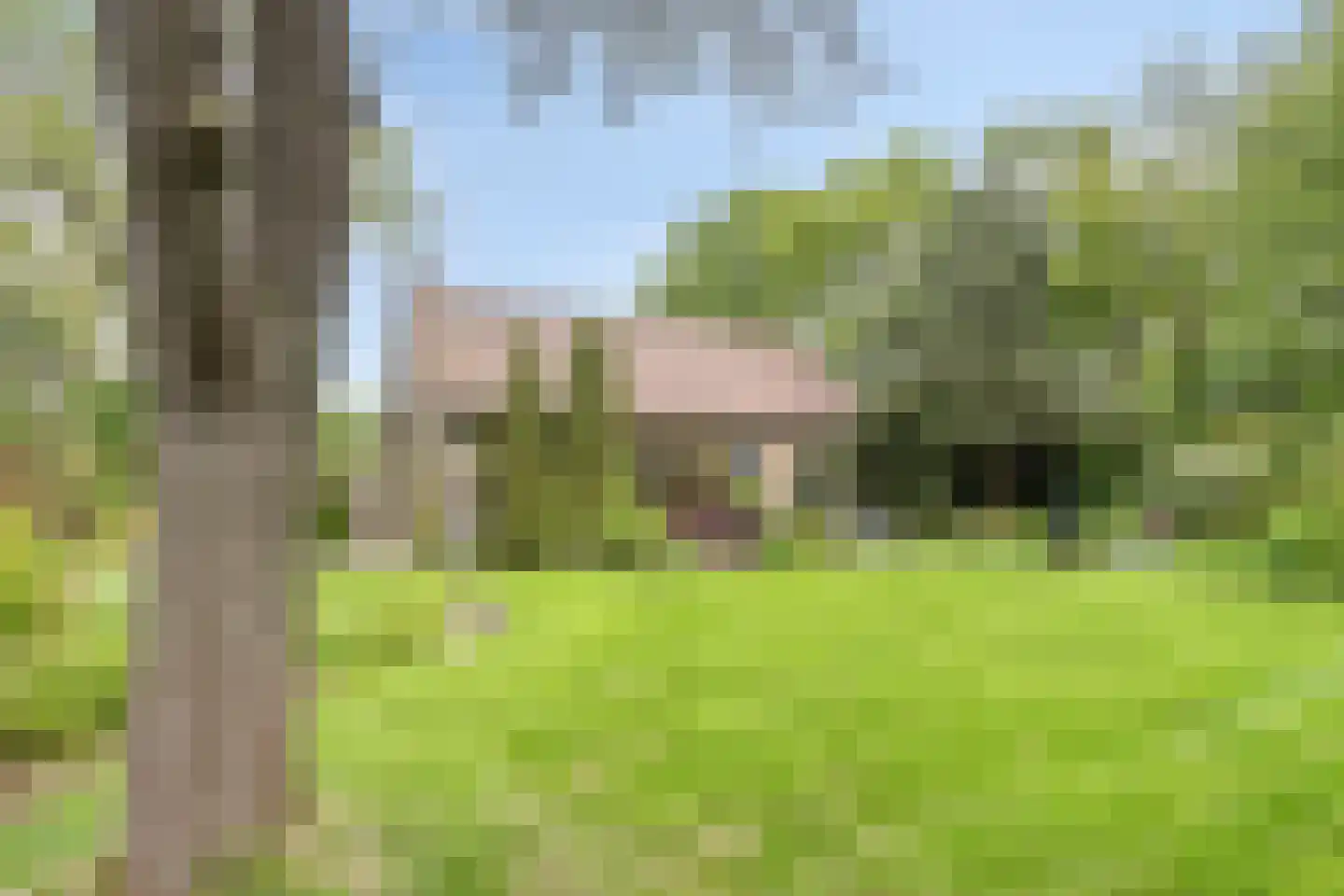 Korte Ruigeweg 3 Schagerbrug thumbnail 51