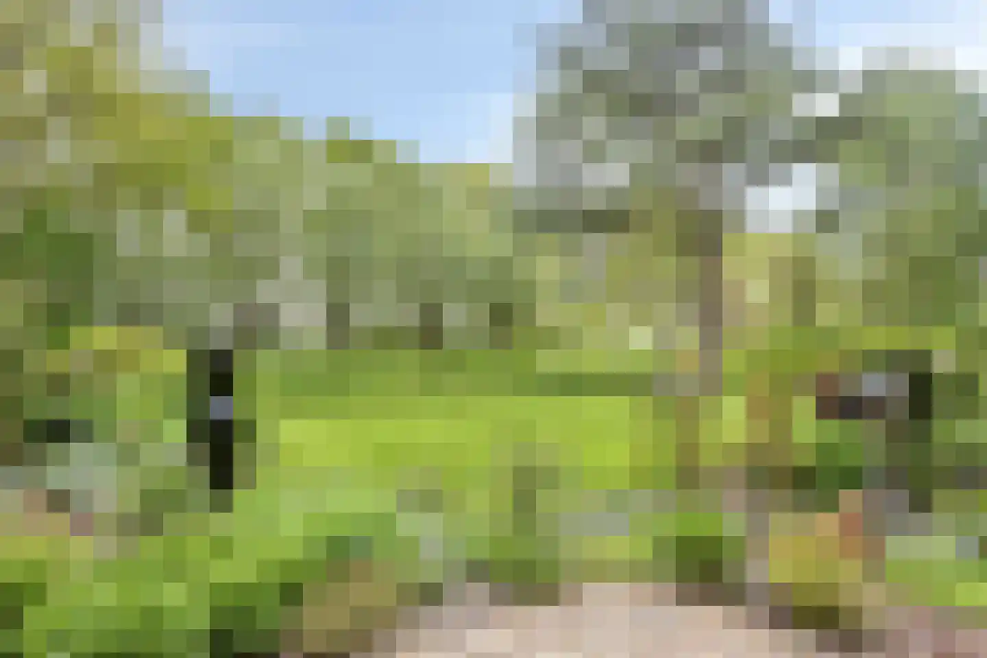 Korte Ruigeweg 3 Schagerbrug thumbnail 54