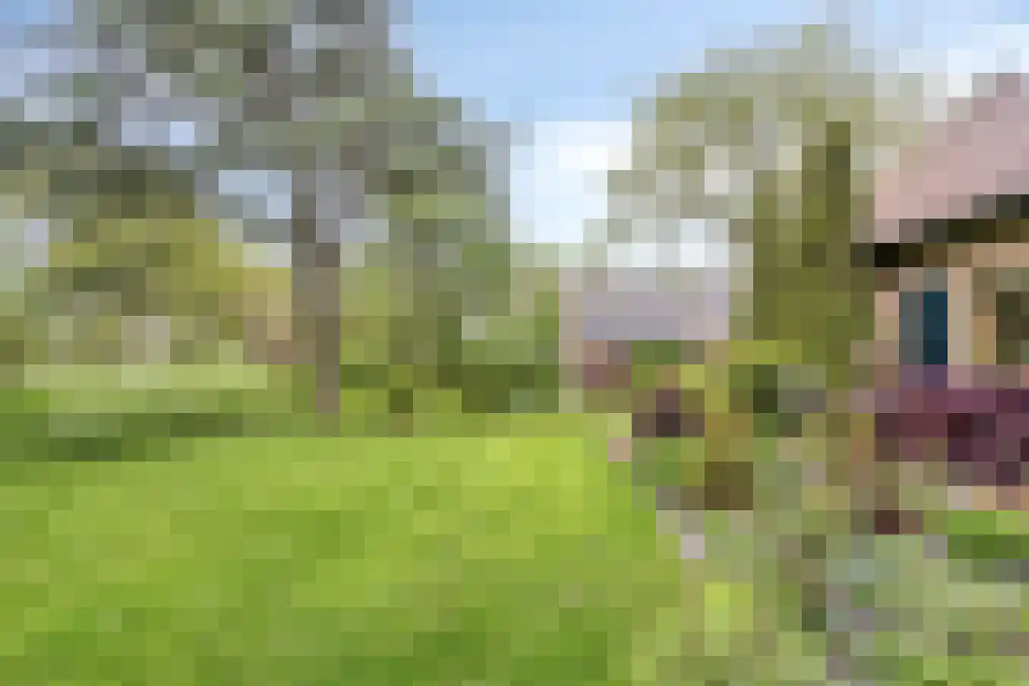 Korte Ruigeweg 3 Schagerbrug thumbnail 55