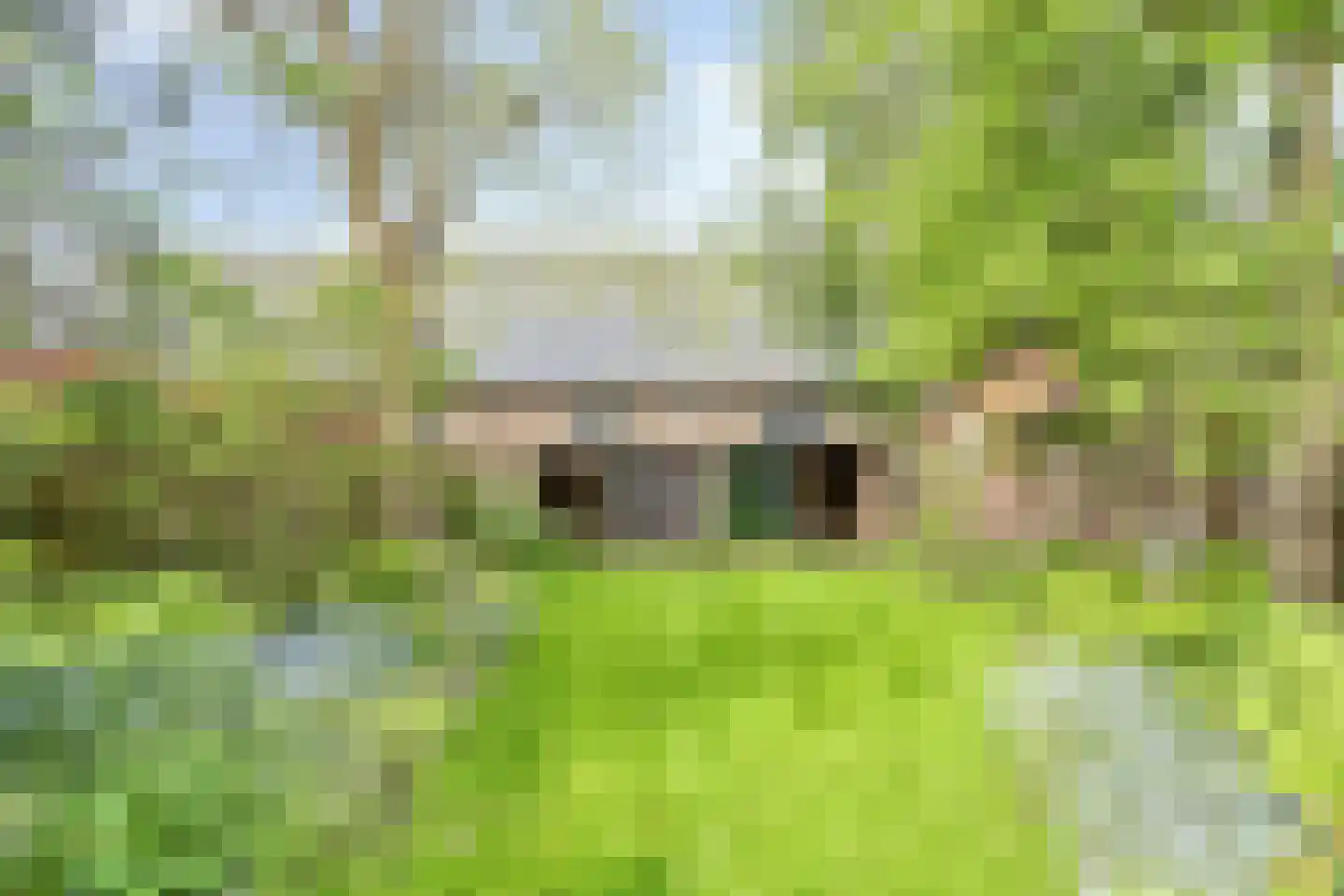 Korte Ruigeweg 3 Schagerbrug thumbnail 59