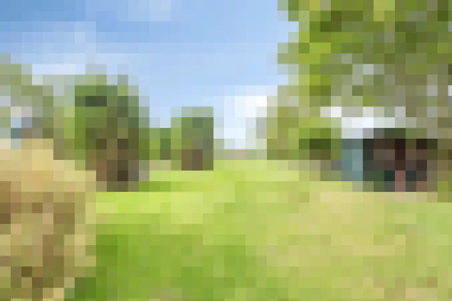 Korte Ruigeweg 3 Schagerbrug thumbnail 66