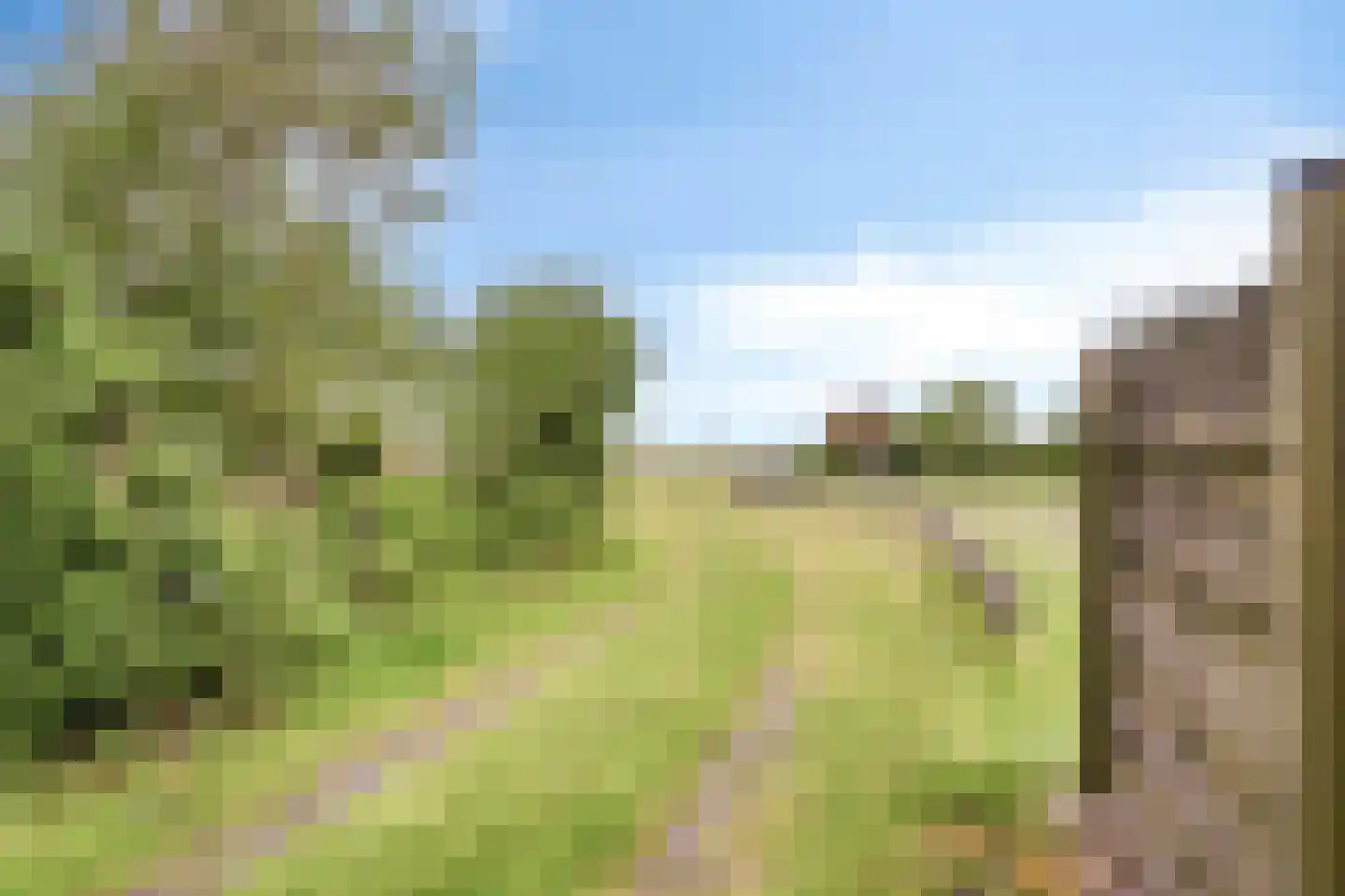 Korte Ruigeweg 3 Schagerbrug thumbnail 77