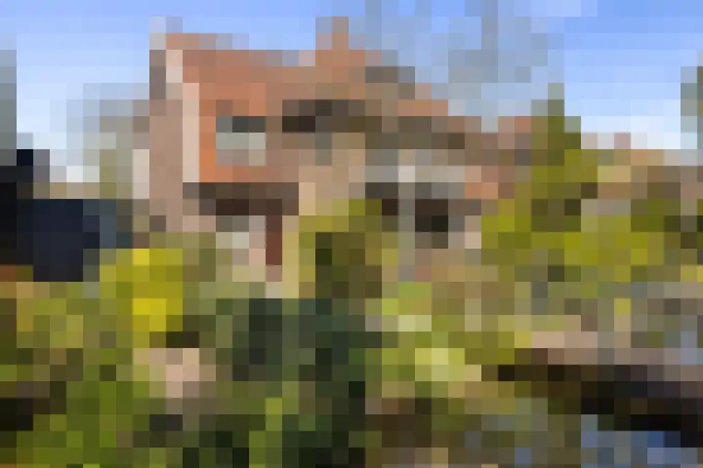 Korte Scheidingsweg 17 Dordrecht thumbnail 48
